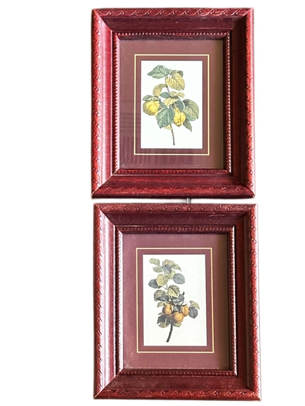 ITALIAN Set of Burgundy Decorative Wood Picture Frames with Botanical Prints 5x6